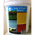 Lake & Pond Bacteria Pack 25 lb V513951
