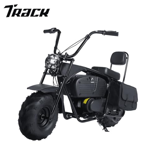 36V 1000W Electric Mini Dirt Bike R309