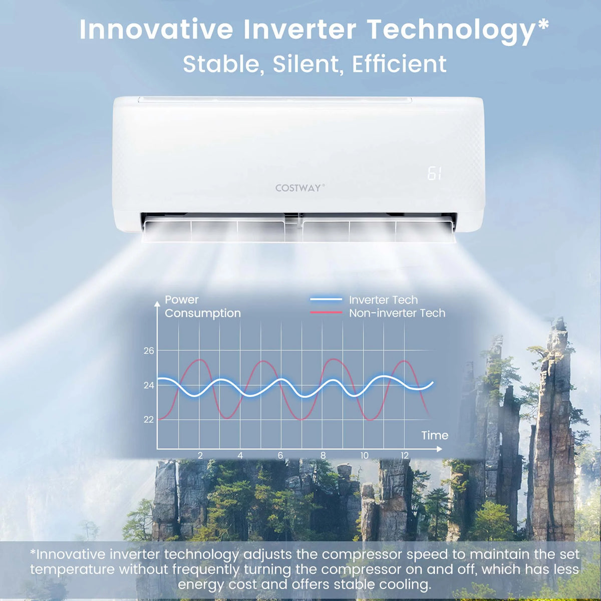 24,000 BTU Mini Split Air Conditioner with Heat Pump F12696