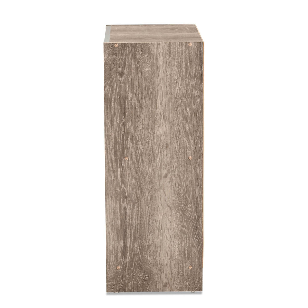 Weathered Oak Finished Wood 2-Door Shoe Cabinet E1709