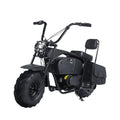 36V 1000W Electric Mini Dirt Bike R309
