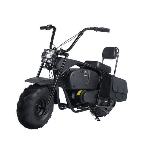 36V 1000W Electric Mini Dirt Bike R309