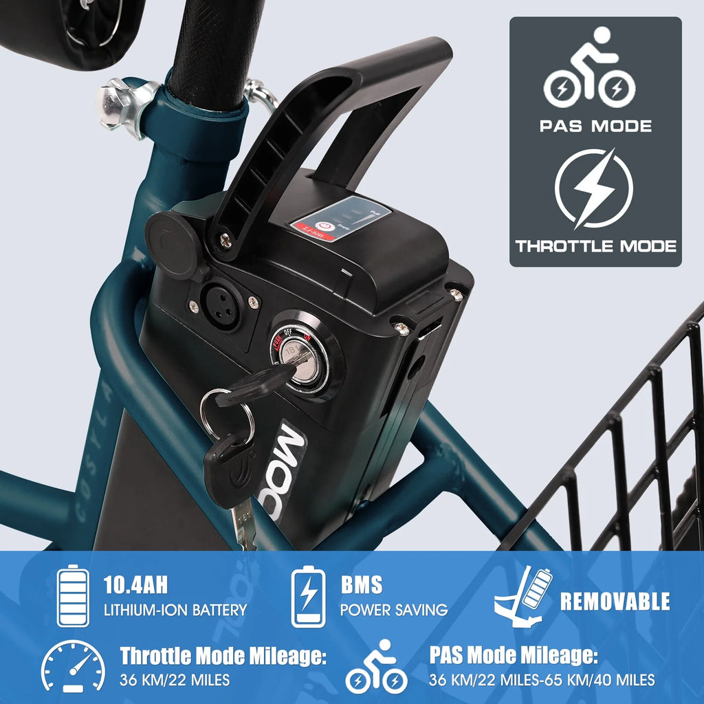 24 Inch 3 Wheel Electric Tricycle with 36V Removable Lithium Battery S77967
