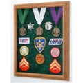 Display Case D7558