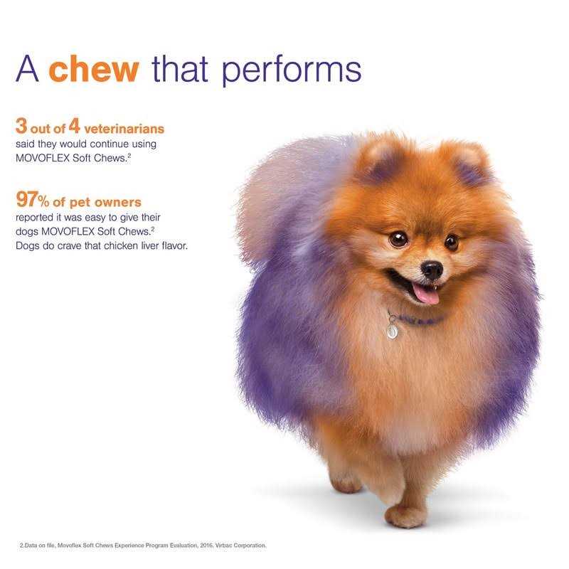 Joint Support Soft Chews for Dogs N1988