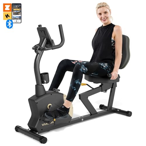 Recumbent Exercise Bike with Magnetic Resistance F854480