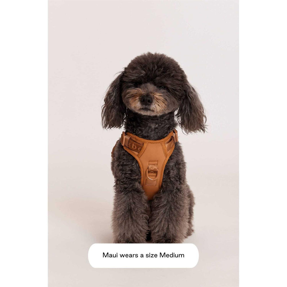 Easy Fit Harness Z342