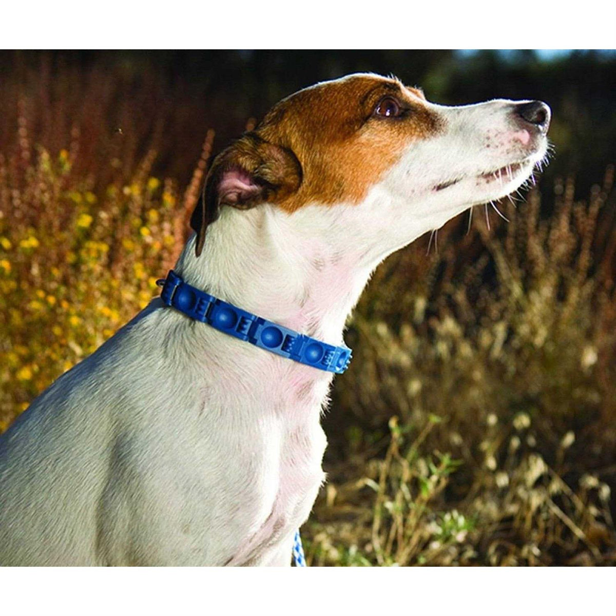 Dog Training Collar L1687