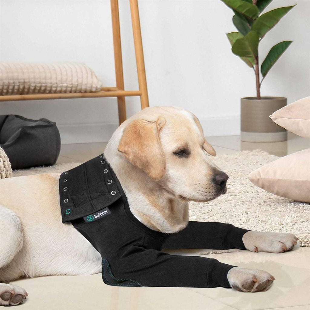 Dog Recovery Sleeves J83882
