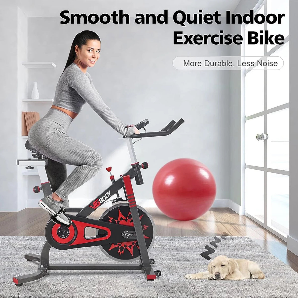 Exercise Bike Stationary Indoor Cycling Bicycle A393