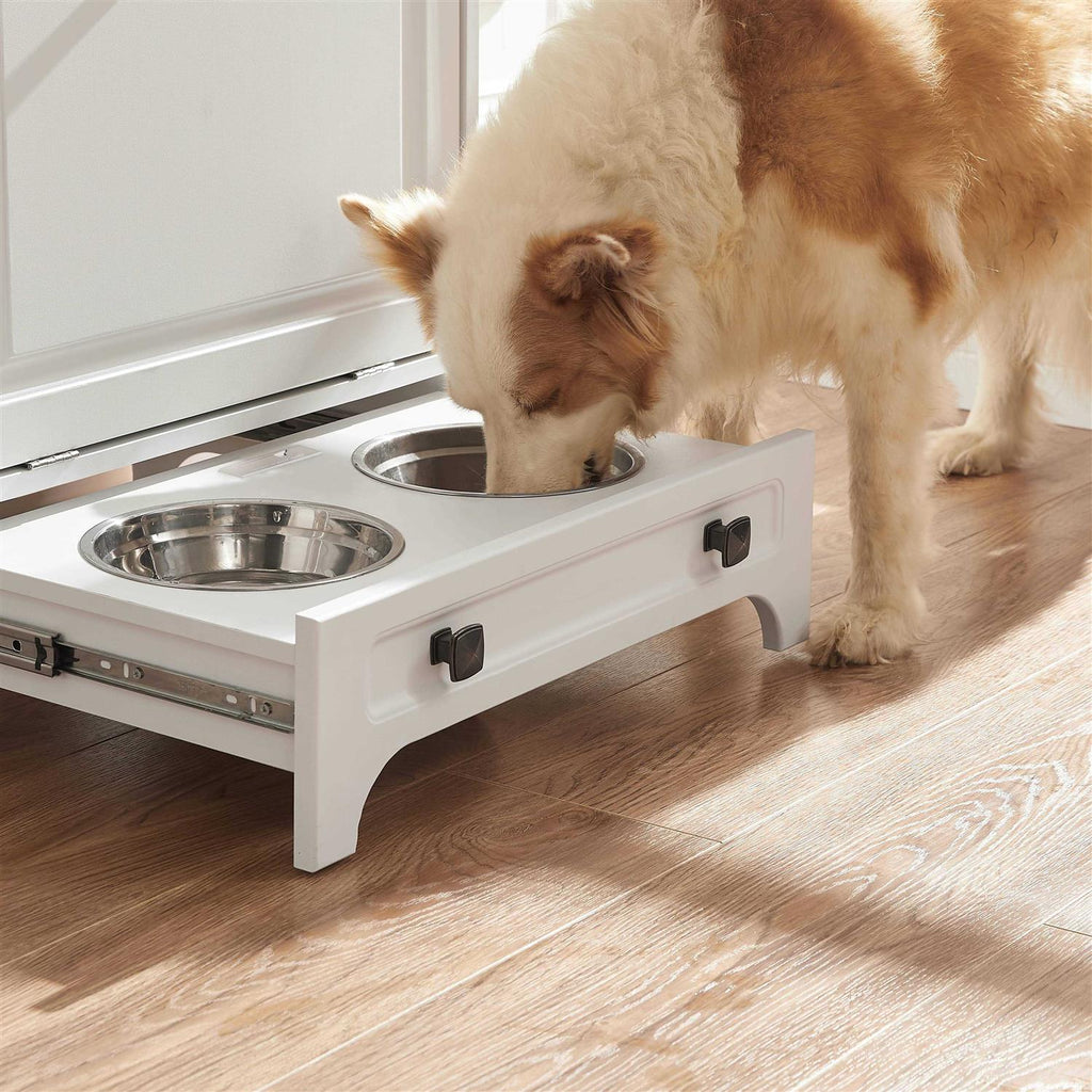 Modern Pet Feeding Station with 2 Elevated Dog Bowls P251433