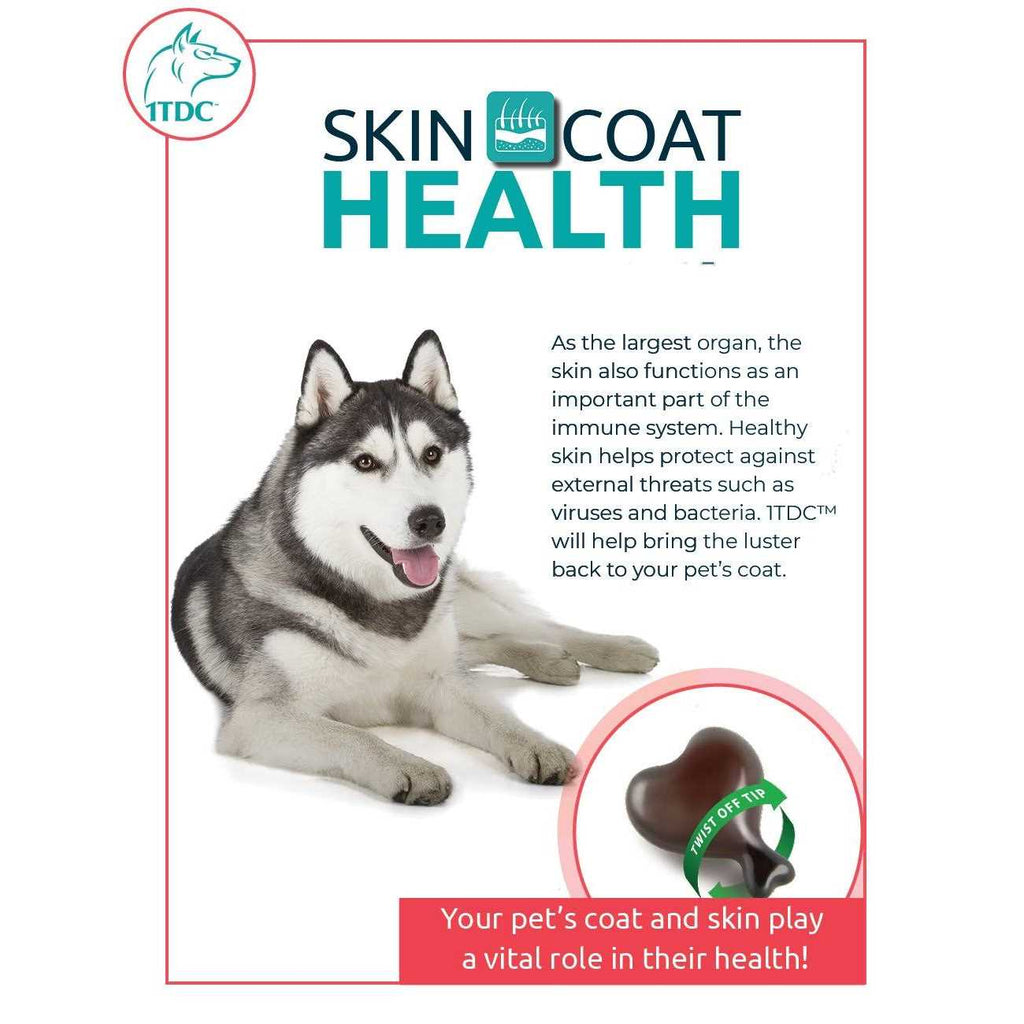 Periodontal & Joint Health for Cats & Dogs K64824