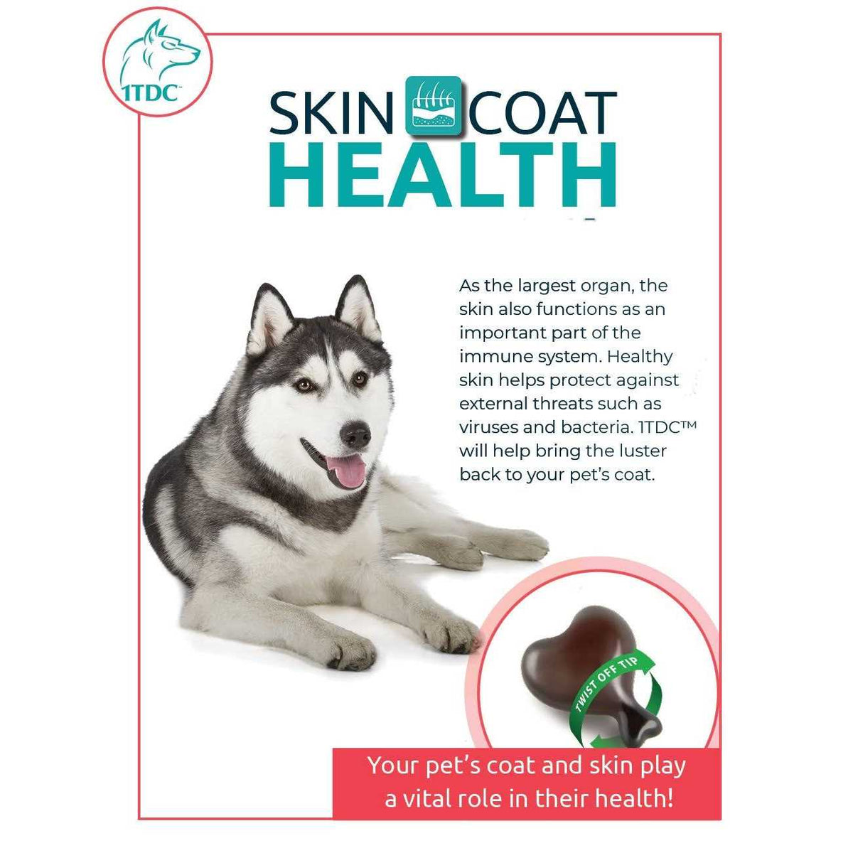 Periodontal & Joint Health for Cats & Dogs K64824