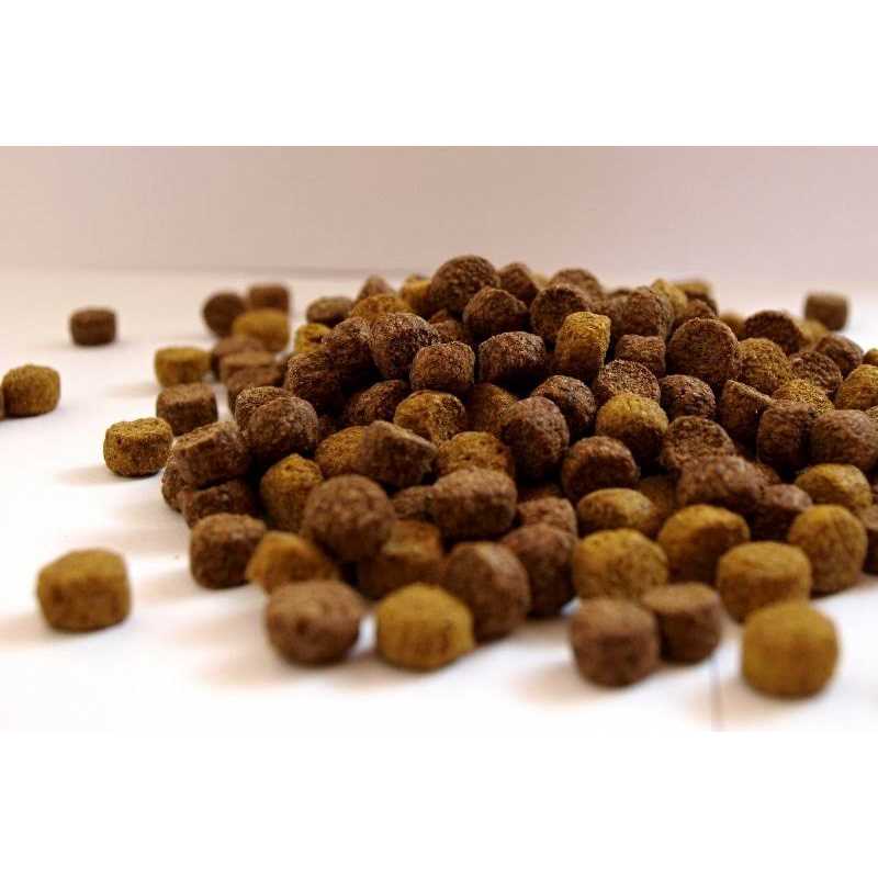 Grain Free Chicken Dog Food S593160