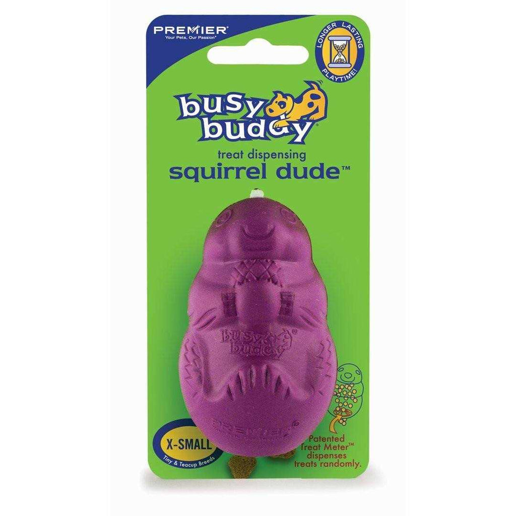 Squirrel Dude Dog Toy S28481