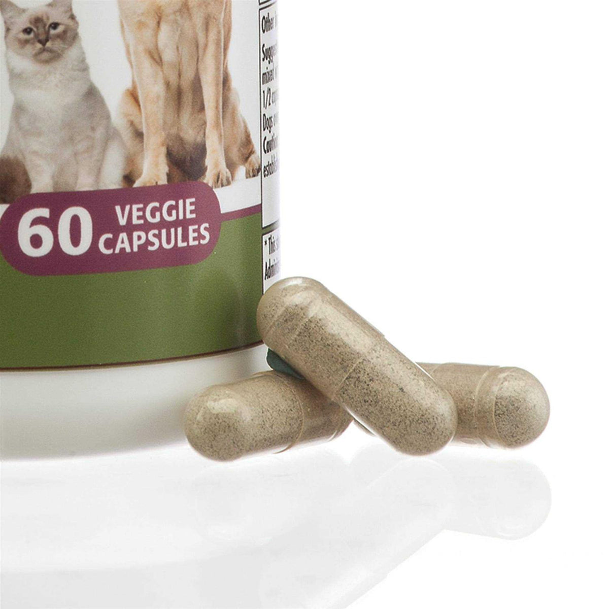 Pancreas Booster Pet Supplies H544044