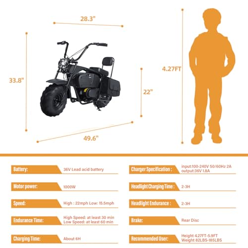 36V 1000W Electric Mini Dirt Bike R309