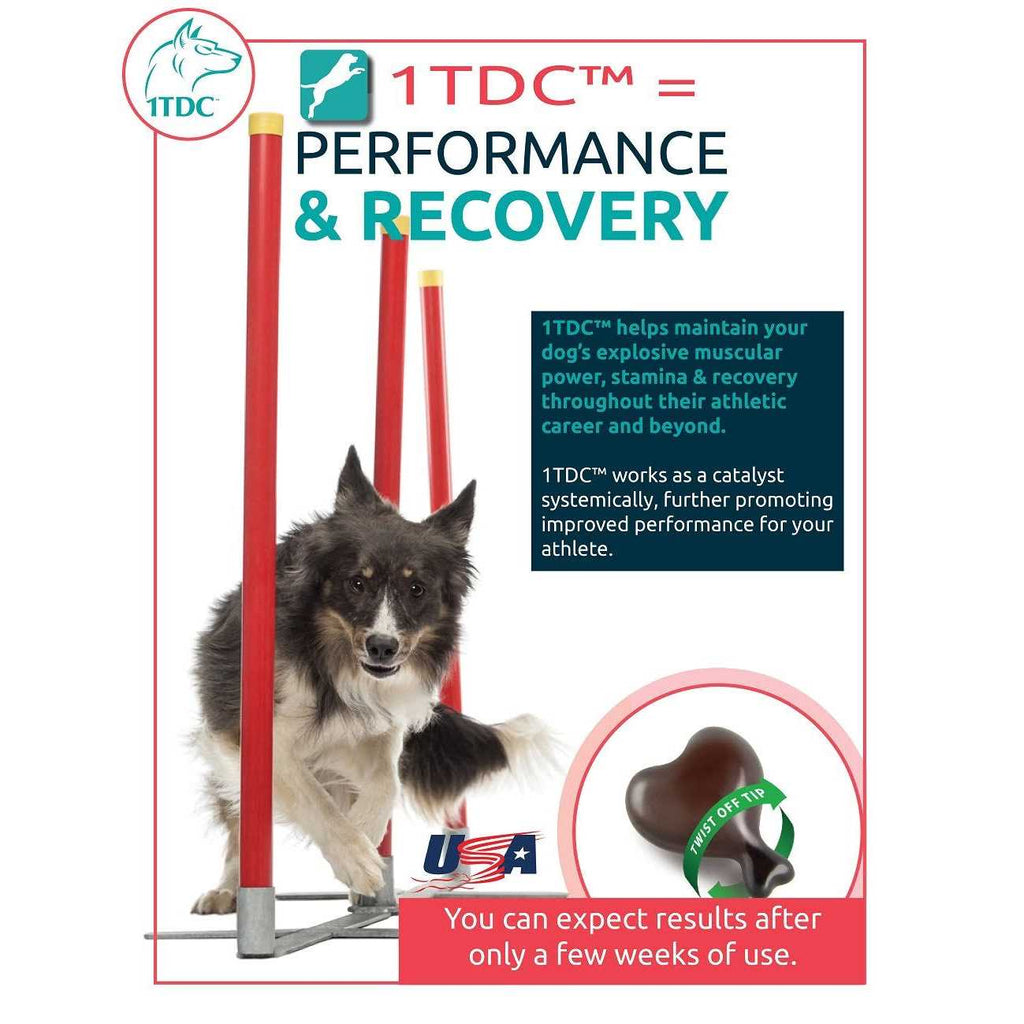 Periodontal & Joint Health for Cats & Dogs K64824