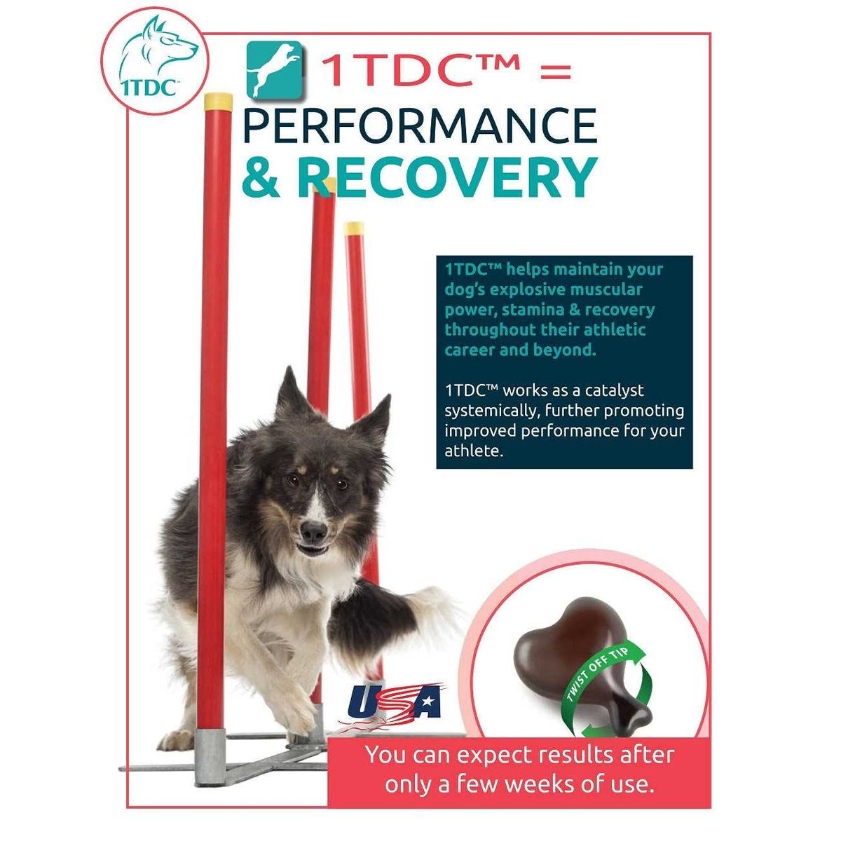 Periodontal & Joint Health for Cats & Dogs K64824