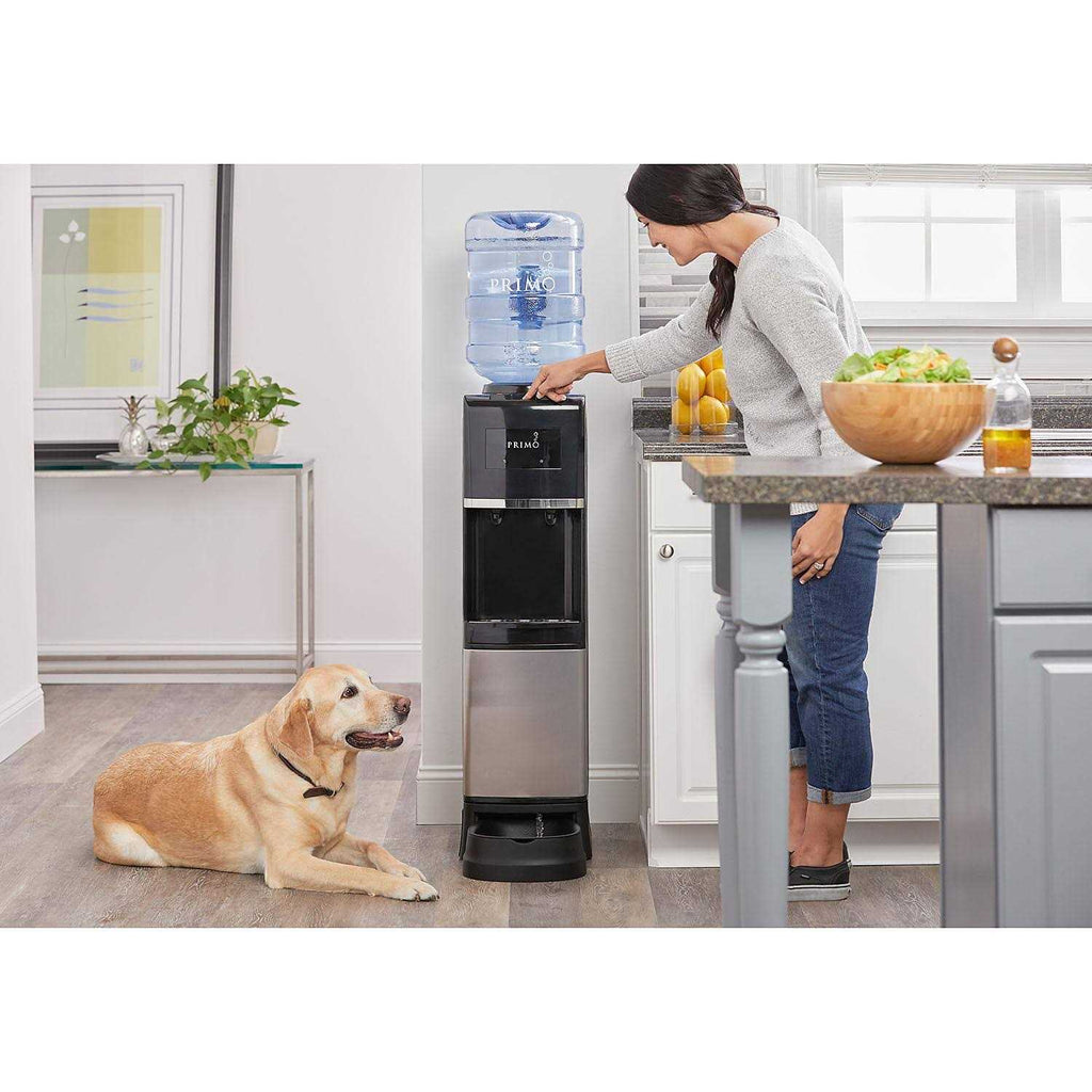 Top Loading Hot/Cold Black and Stainless Steel Pet Water Dispenser B972