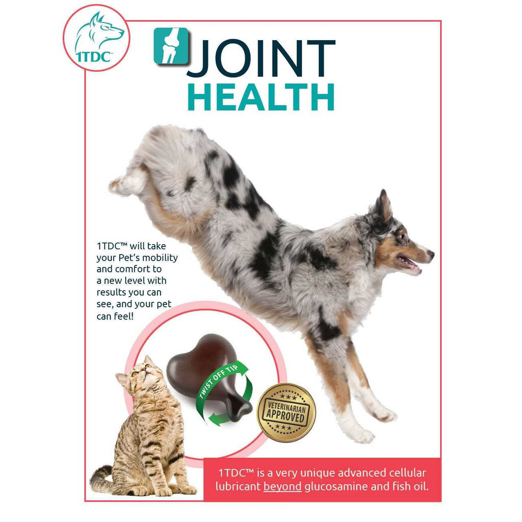Periodontal & Joint Health for Cats & Dogs K64824