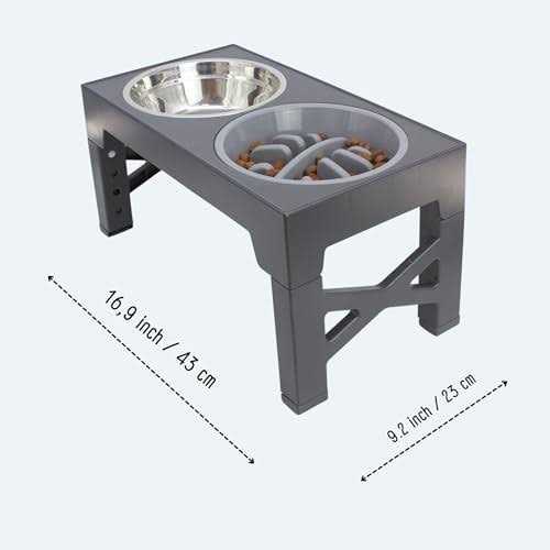 Elevated Slow Feeder Dog Bowls Set with 2 Stainless Steel & 1 No Spill Bowl I948701