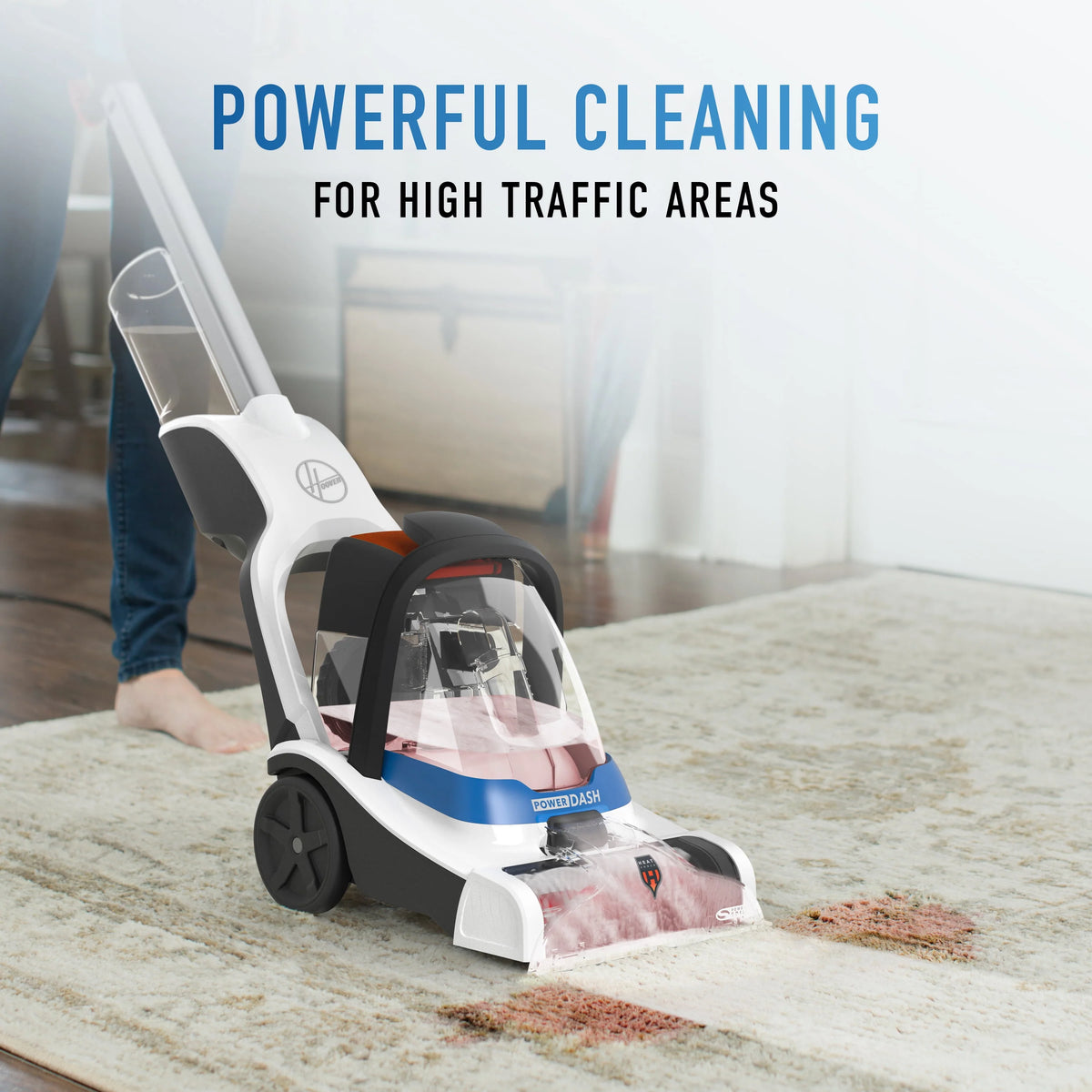 Compact Pet Carpet Cleaner F650402