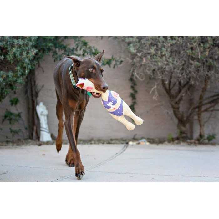 Dog Toy W56529
