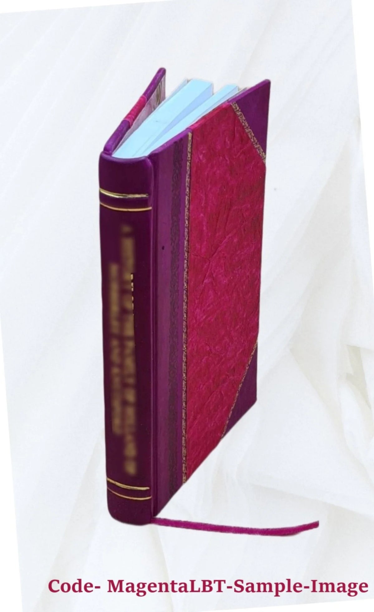 Leather Bound Volume Brief and Appendix D67392