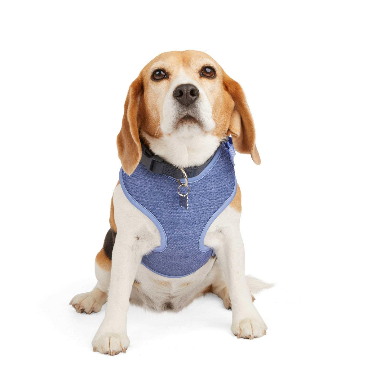 Heather Pullover Dog Harness A19996