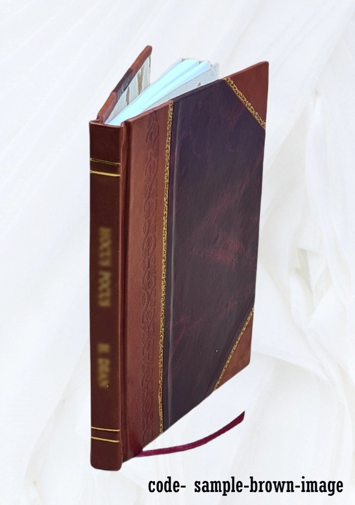 Leather Bound Volume Brief and Appendix D67392