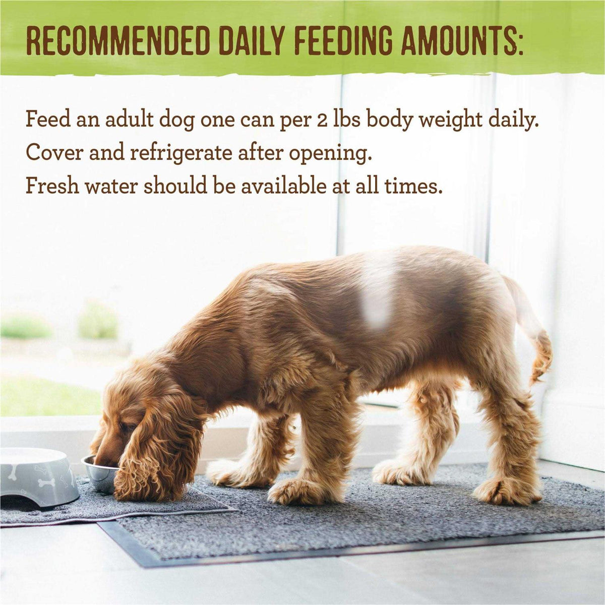 Grain Free Wet Dog Food K881840