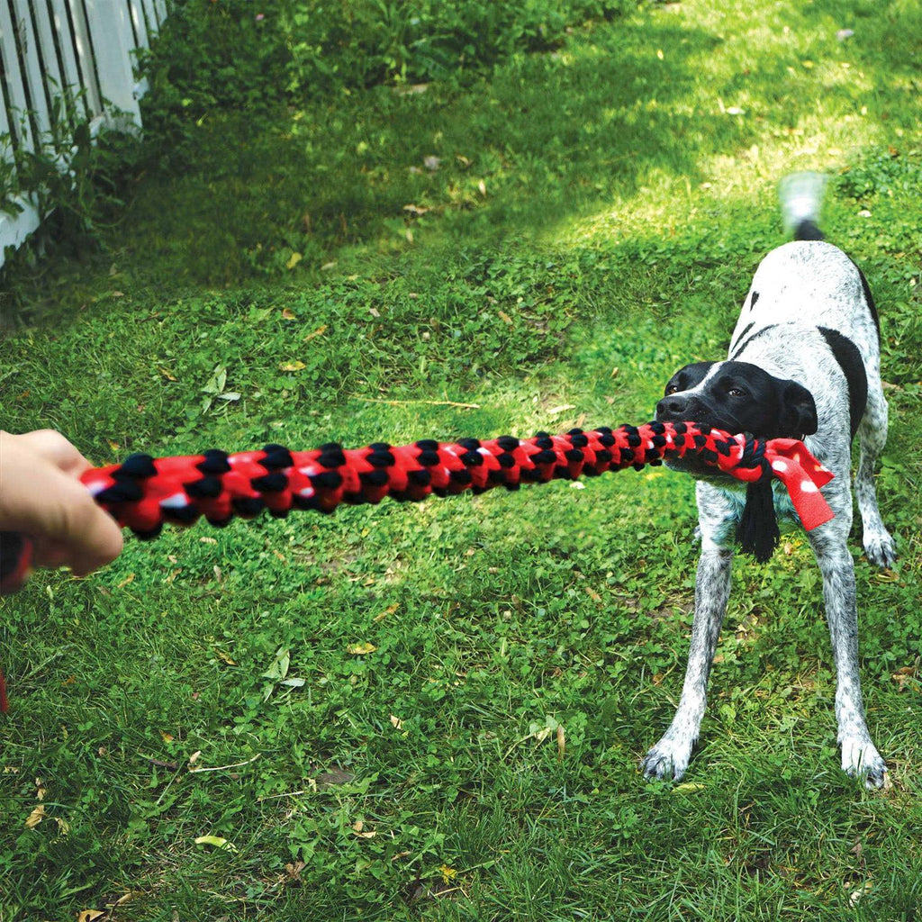 Rope Dog Toy L54720