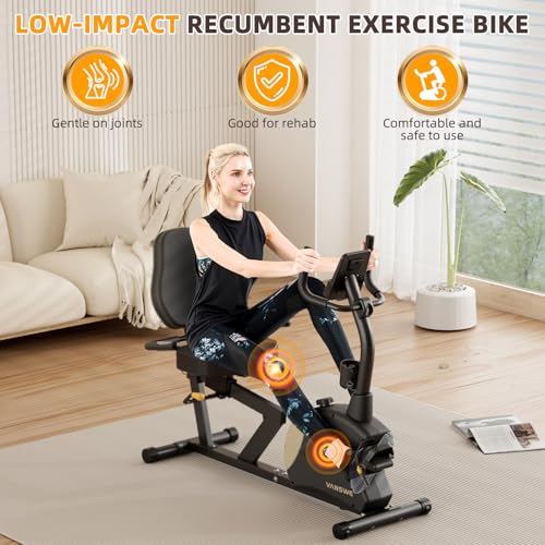 Recumbent Exercise Bike with Magnetic Resistance F854480