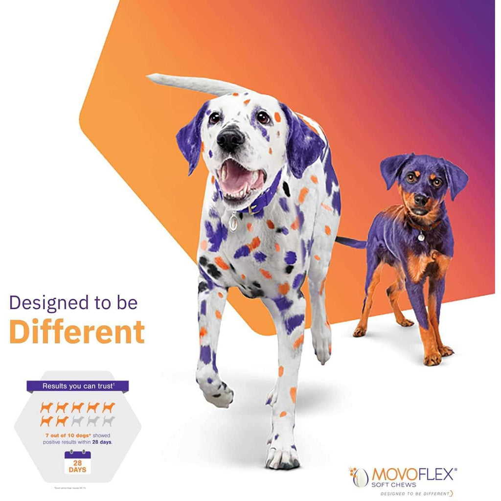 Joint Support Soft Chews for Dogs N1988