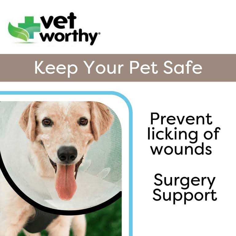Protective Cone Collar C36663
