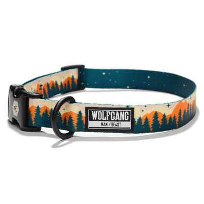 Dog Collar G652541